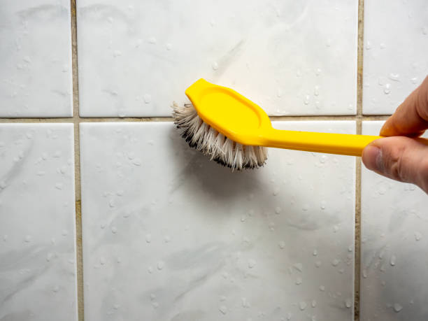 Best Mold Testing  in Frisco, TX