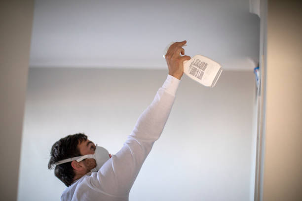 Best Affordable Mold Removal  in Frisco, TX