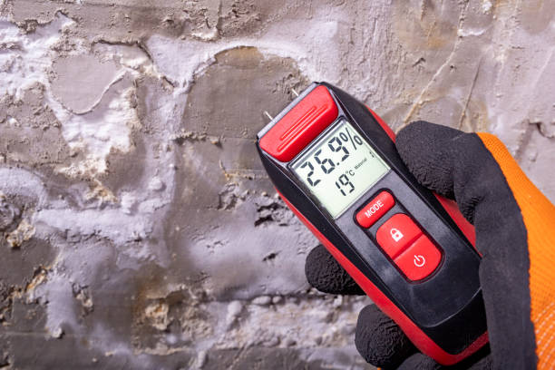 Best Local Mold Removal Service  in Frisco, TX