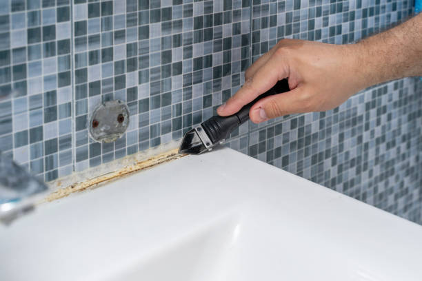 Best Mold Testing  in Frisco, TX