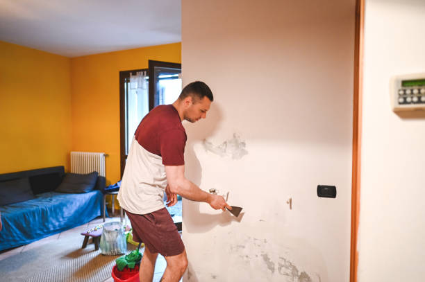 Best Same-Day Mold Removal  in Frisco, TX